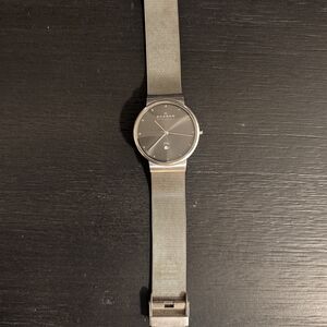 Skagen Gray Dial Silver Mesh Watch
